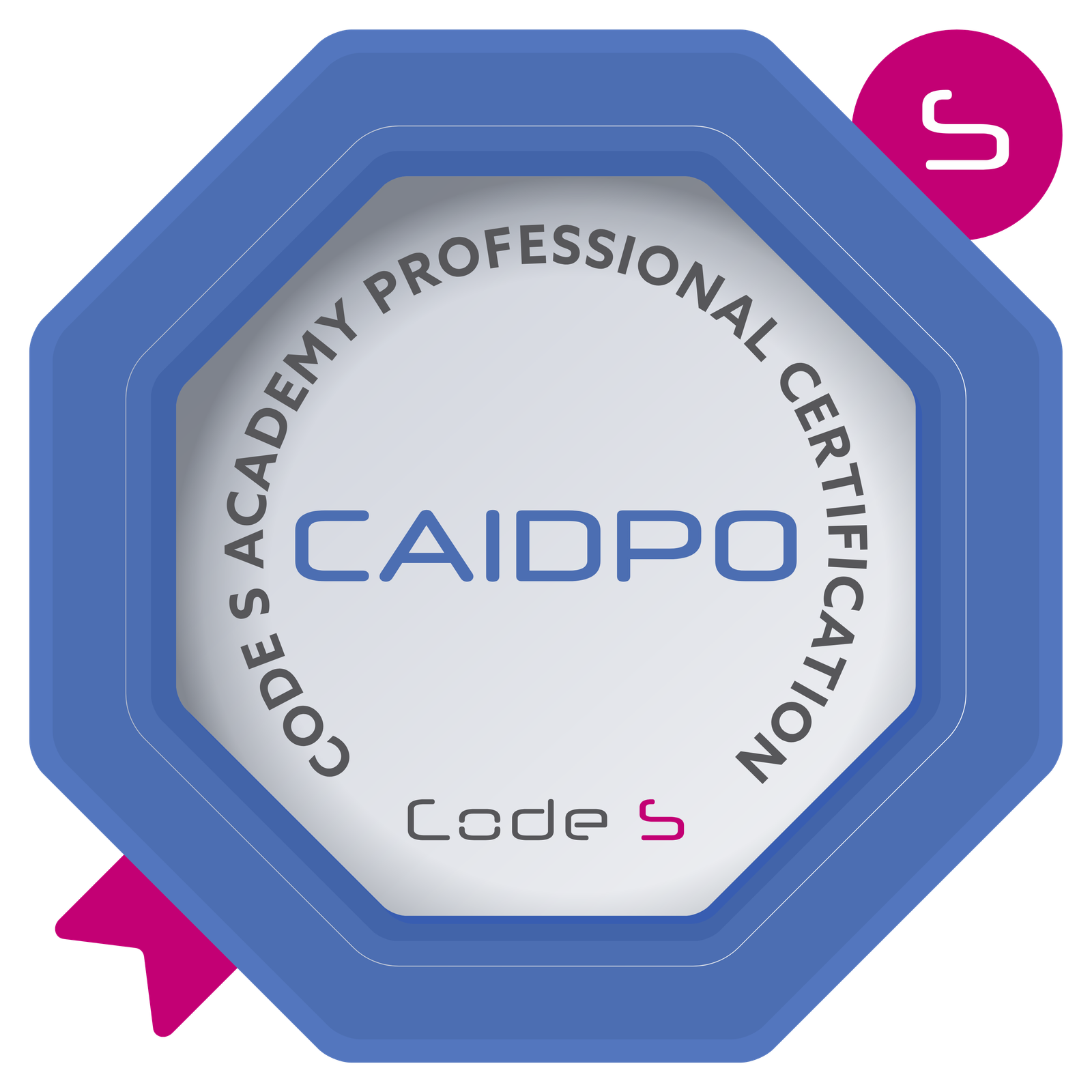 Certified AI & Data Protection Officer (CAIDPO)